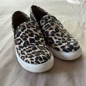 Steve Madden slip ons